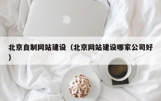 桂阳北京自制网站建设（北京网站建设哪家公司好）